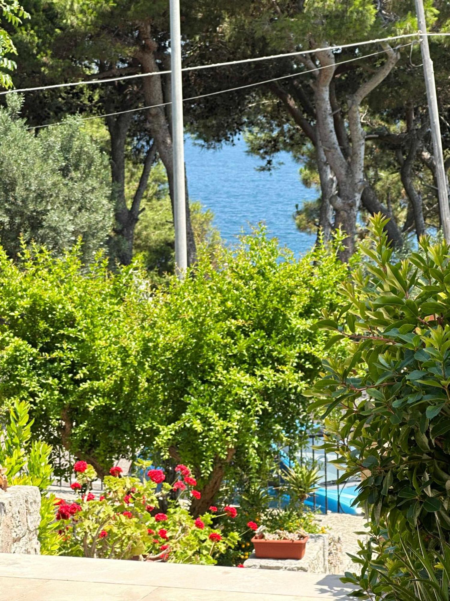 Villetta Dagre Fronte Mare Marittima Exteriér fotografie